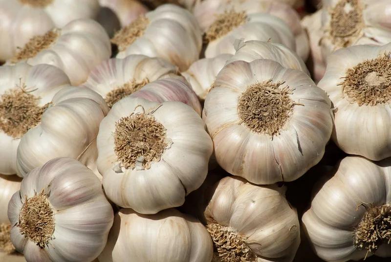 Ajo blanco baladi