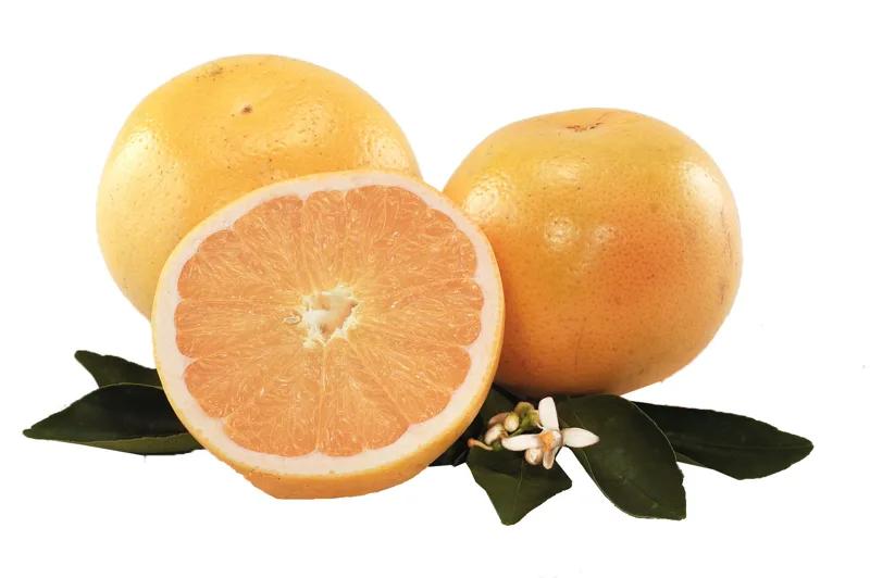 جريب فروت مارش
