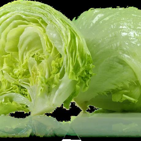 Iceberg lettuce