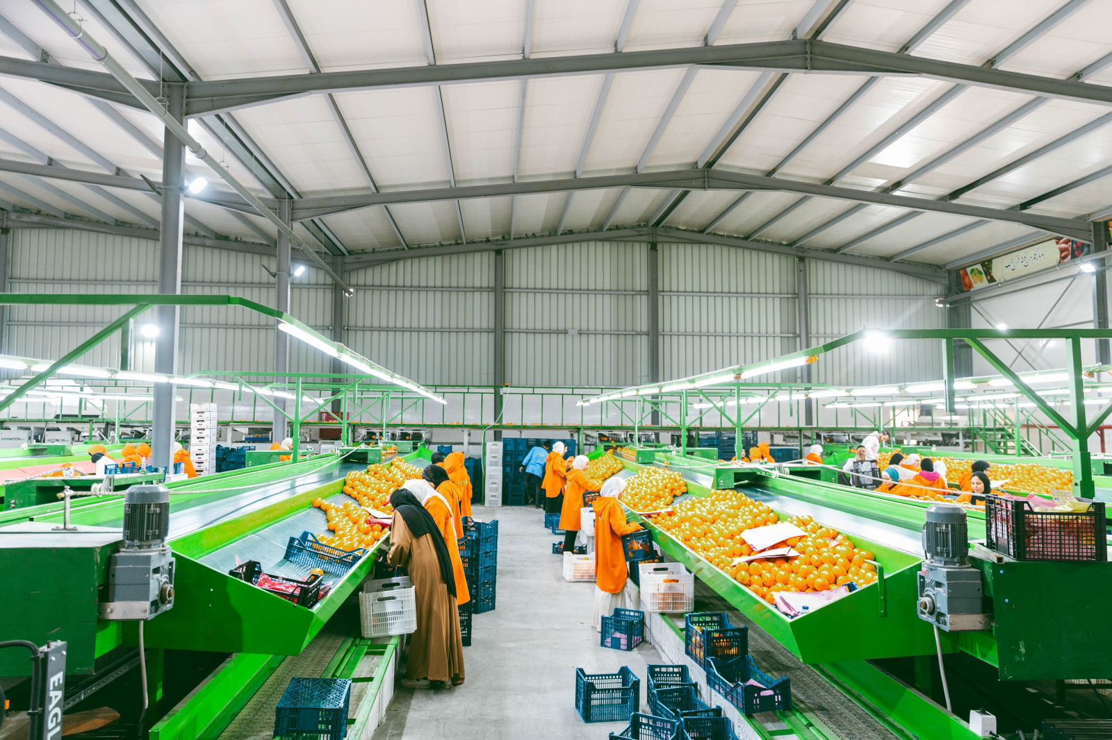 Packhouse Technology