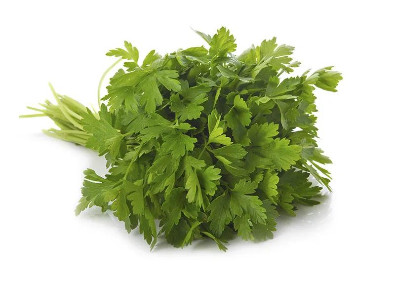 Flat-leaf parsley